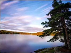Jezioro Källtorpssjön, Jesień, Szwecja, Drzewa