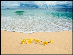 Kwiatuszki, Promienie, Morze, Słońca, Plaża