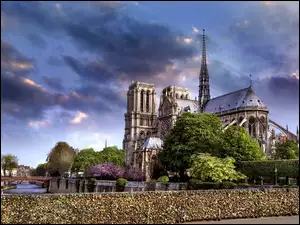 Katedra, Francja, Notre Dame, Paryż