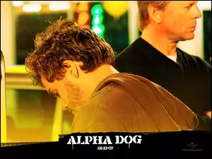 Emile Hirsch, Alpha Dog, Bruce Willis