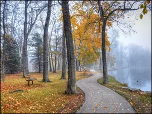 Liście, Mgła, Rzeka, Park, Jesień, Kaczki, Ławki