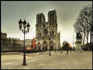 Katedra, Dame, Paryż, Choinka, Francja, Notre