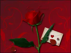 Koperta z sercem, Róża czerwona, Płatki róży