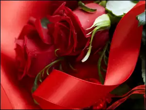 Wstążka, Czerwone, Róże