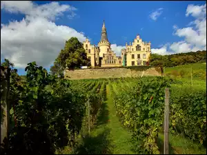 Zamek Arenfels, Niemcy, Wzgórze, Winnica