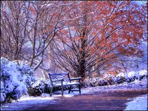 Śnieg, Zima, Drzewa, Park, Ławka