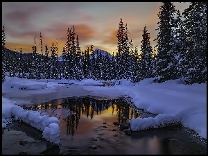Rzeka, Banff, Zima, Kanada, Las, Zachód Słońca
