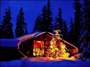 Boże Narodzenie, Choinka, Dom, Noc