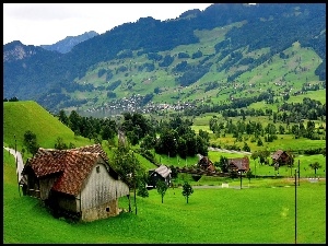 Domy, Szwajcaria, Góry, Lasy