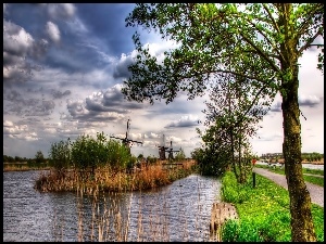 Rzeka, Kinderdijk, Wiatraki, Holandia, Droga, Drzewa