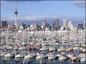 Nowa Zelandia, Jachty, Auckland, Miasto