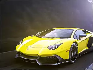 Lamborghini, Droga
