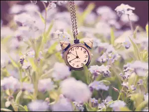Zegar, Fioletowe, Kwiaty