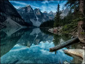 Lasy, Alberta, Jezioro, Kanada, Góry, Banff