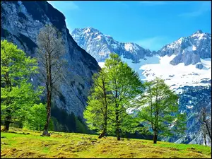 Austria, Góry, Drzewa, Śnieg, Alpy
