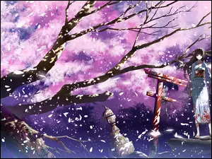 Anime, Dziewczyna, Drzewo
