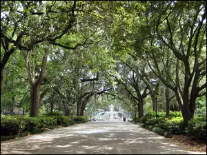 Georgia, Park, Savannah, Forsyth