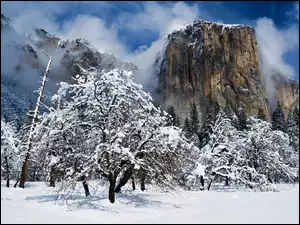 Kalifornia, El Capitan, Narodowy, Park, Yosemite