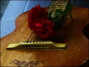 Gitara, Róża, Akustyczna, Ornament