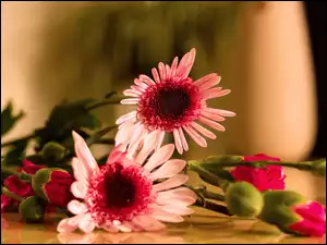 Dzban, Bukiet, Kwiatów