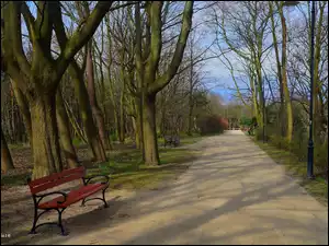 Park, Ławka, Alejka, Drzewa