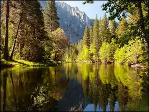 Kalifornia, Las, Jezioro, Góry, Park Narodowy Yosemite