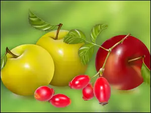 Jabłka, Art, Dzika róża, Owoce
