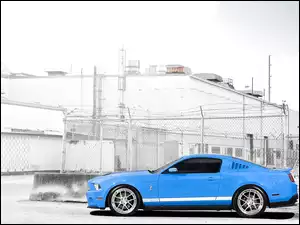 Błękitny, GT 500, Mustang, Shelby