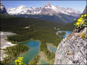 Góry, Kanada, Lasy, Jeziora