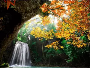 Jesień, Las, Drzewo, Wodospad, Przebijające Światło