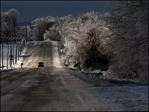 Droga, Zima, Samochód, Drzewa