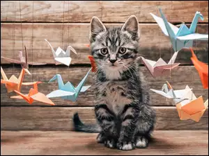 Kot, Origami, Kotek, Ptaszki