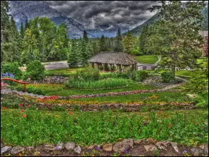 Altanka, Ogród, Kwiaty