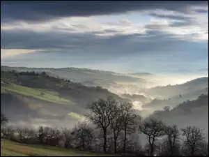 Mgła, Panorama, Rano, Drzewa