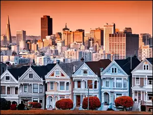 Panorama, San Francisco, Domy, Kalifornia, Wieżowce, Miasta