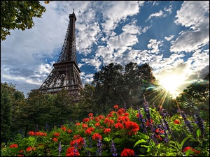 Paryż, Wieża Eiffla, Kwiaty