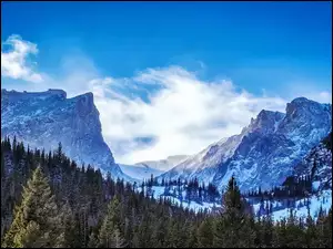Góry, Kolorado, Lasy, Park Narodowy