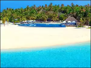 Velassaru, Palmy, Ocean, Malediwy, Basen, Plaża, Kurort