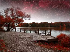 Jezioro, Drzewa, Pomost, Gwiazdy