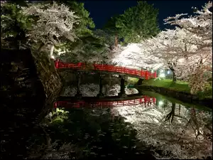 Wiosna, Kwitnące, Rzeka, Park, Japonia, Most, Drzewa