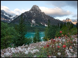 Kwiaty, Góry, Jezioro