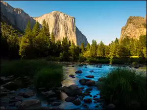 Rzeki, Park Narodowy Yosemite, Las, Góry Sierra Nevada, Dolina