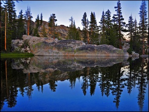 Park Narodowy Yosemite, Lasy, Stany Zjednoczone, Skała, Stan Kalifornia, Góry