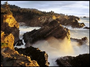 Morze, Las, Oregon, Skały, Świt, Wybrzeże