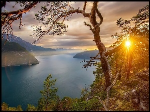 Fiord, Mgła, Góry, Drzewa, Promienie Słońca, Norwegia