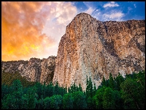 Yosemite, Niebo, Park, Las, Narodowy, Góry
