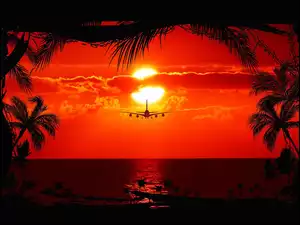 Samolot, Zachód, Morze, Słońca, Palmy