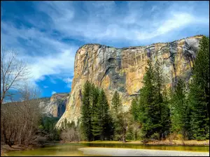 Góry, Kalifornia, Las, Yosemite