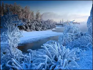 Zima, Mostek, Rzeka, Las
