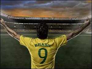 Mistrzostwa, Brazylia, Stadion, 2014, Piłkarz, Świata